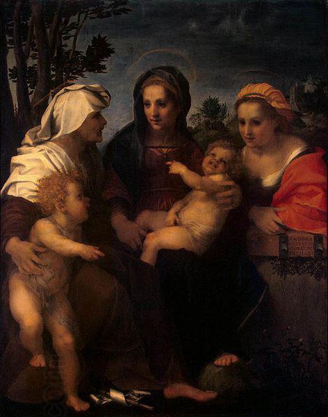 Andrea del Sarto Madonna and Child with Sts Catherine, Elisabeth and John the Baptist oil painting picture